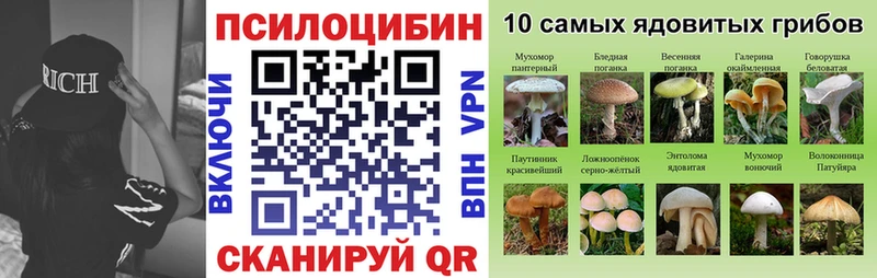 Псилоцибиновые грибы Psilocybine cubensis  даркнет сайт  Северо-Курильск 